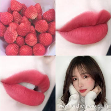 Multicolor professional lipstick makeup lipstick